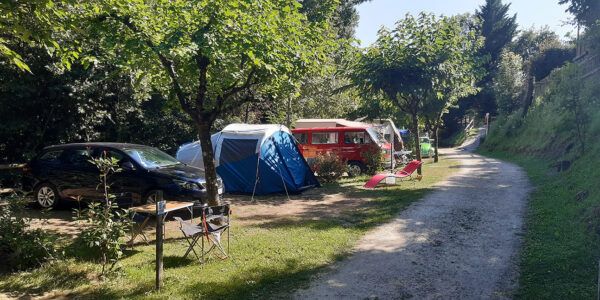 The campsite pitches